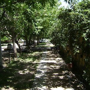 Dúplex
